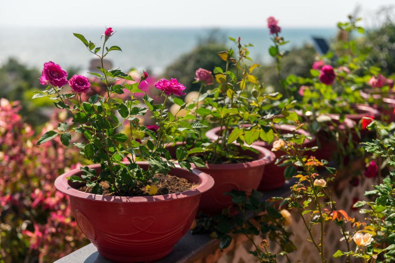 Veranda Beach Place Hotel Phan Thiet Exterior foto